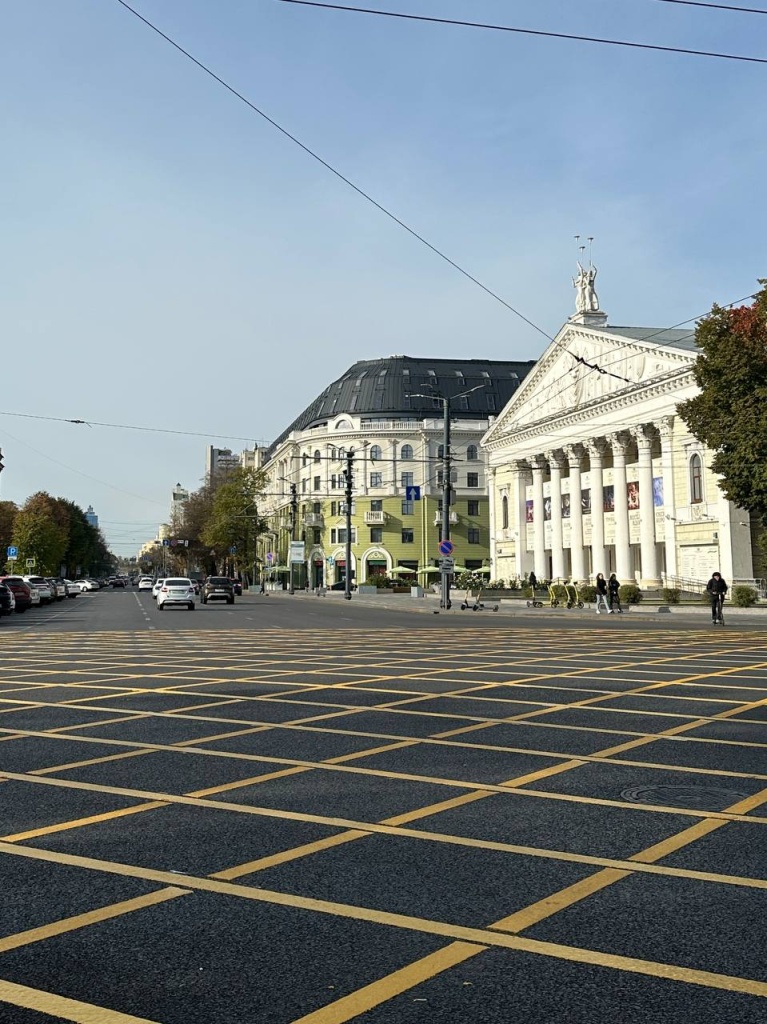 В Воронеже на площади Ленина, возле театра оперы и балета, а также рядом с Никитинской библиотекой появилась вафельная разметка В Воронеже на площади Ленина, возле театра оперы и балета, а также рядом с Никитинской библиотекой появилась вафельная разметка