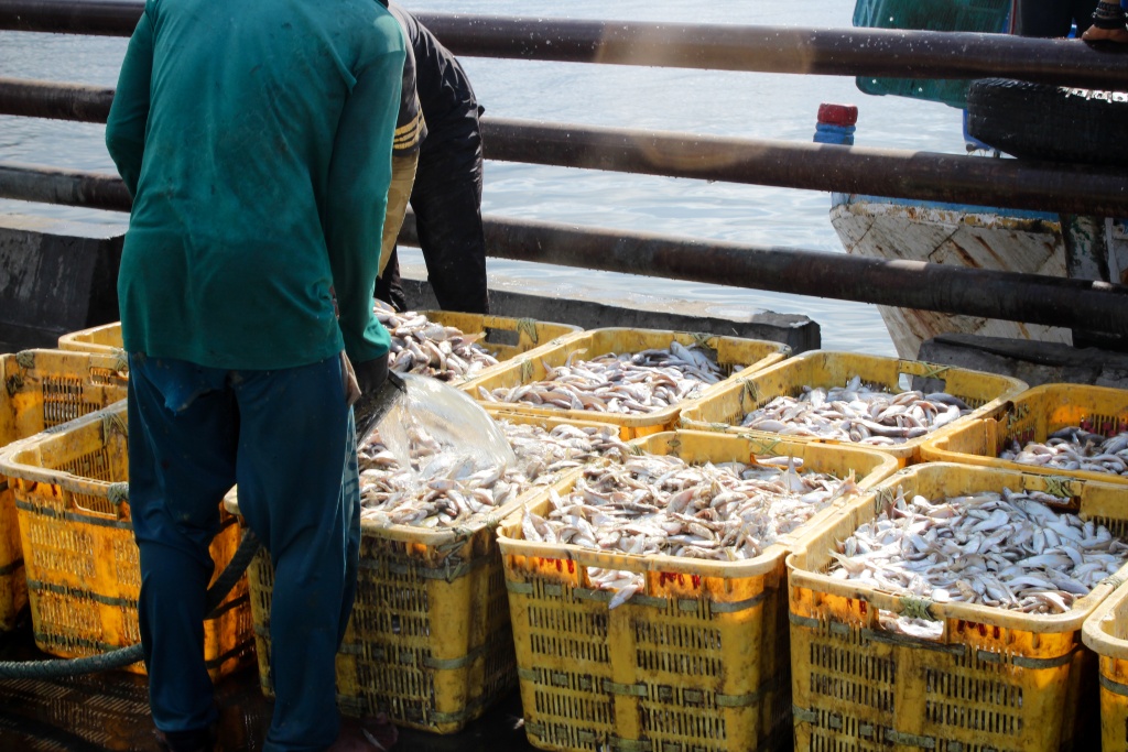 В Самаре главу рыбодобывающей компании оштрафовали на полтора миллиона рублей за коммерческий подкуп