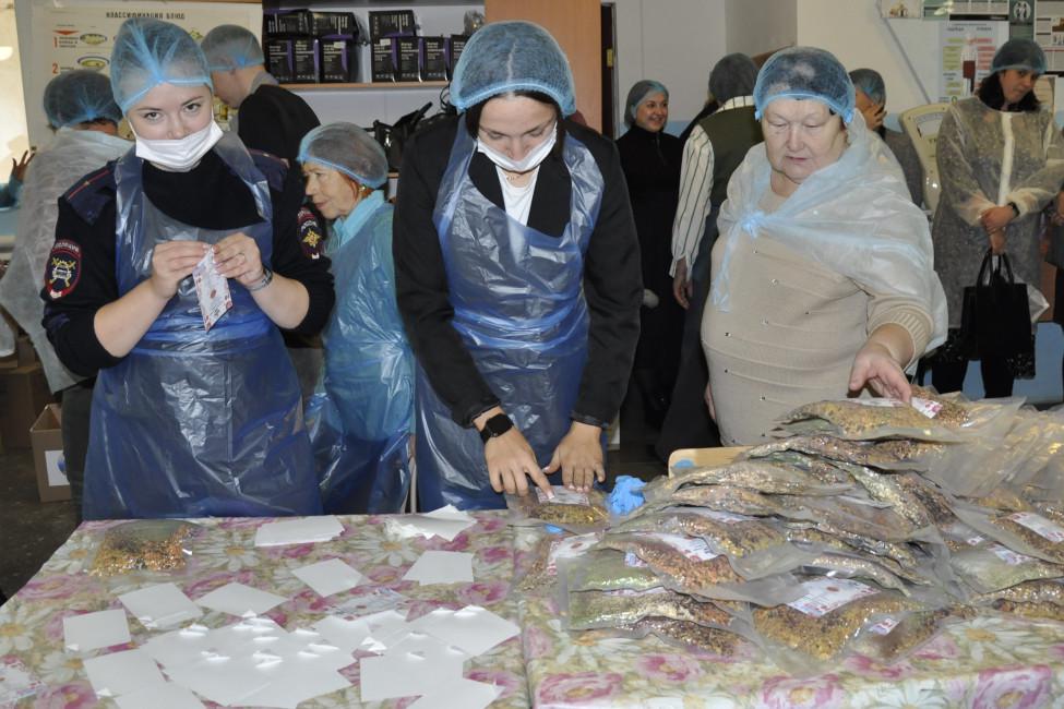 В Новосибирской области волонтёры двух районов обменялись опытом