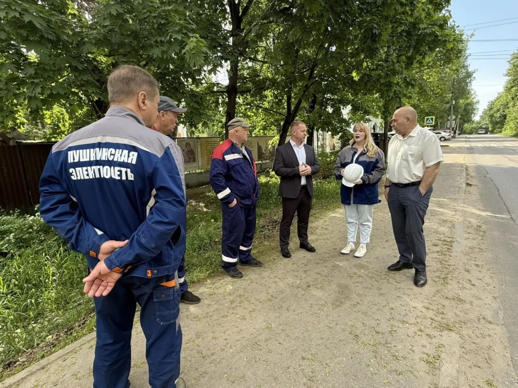 В подмосковном Пушкинском модернизируют уличное освещение — председатель окружного Совета депутатов Артём Садула рассказал о ходе работ