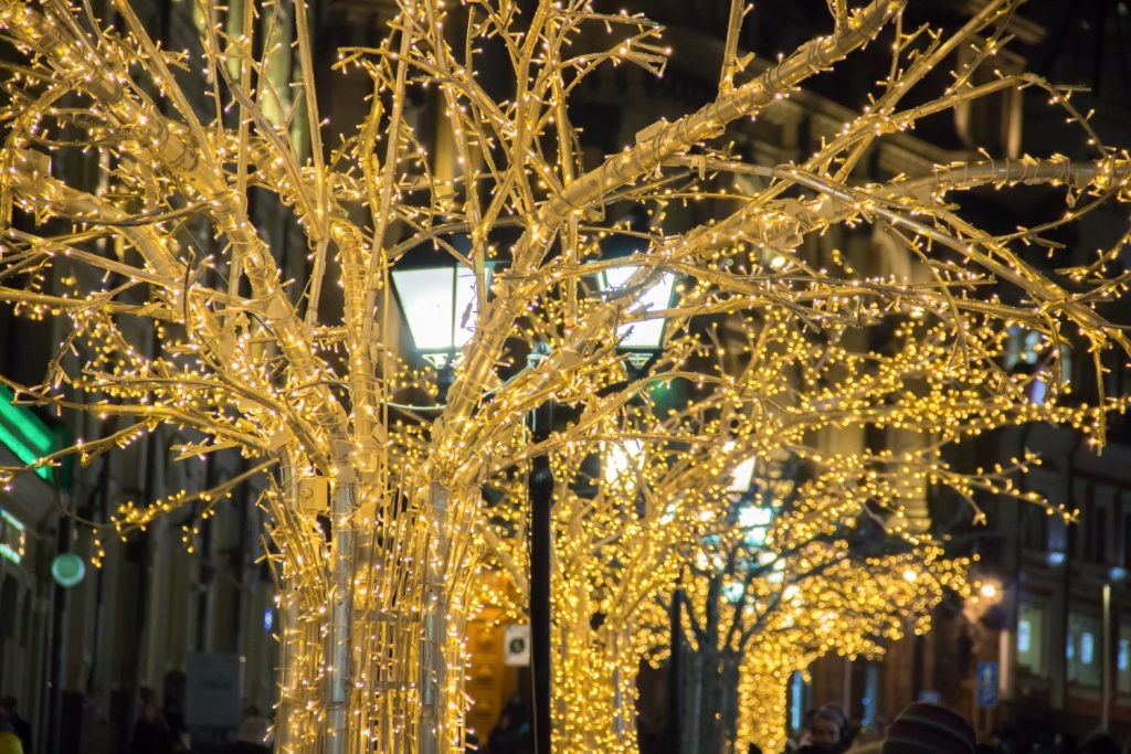 Костромская область зажигает огни: 150 компаний создают новогоднюю сказку