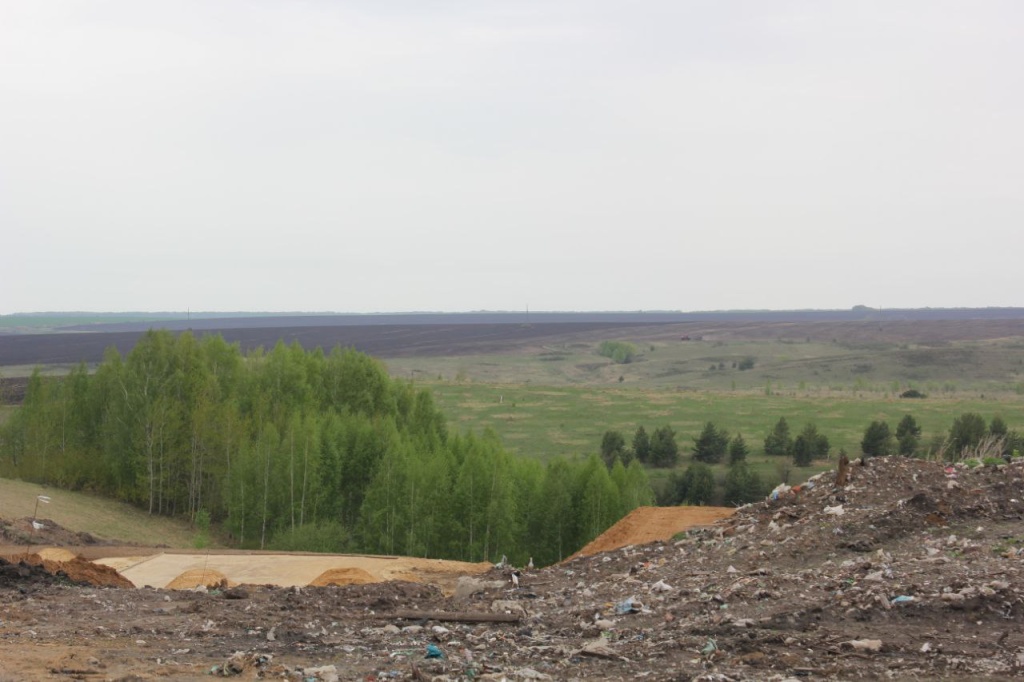Несанкционированную свалку в Мордовии устранят до конца года Несанкционированную свалку в Мордовии устранят до конца года
