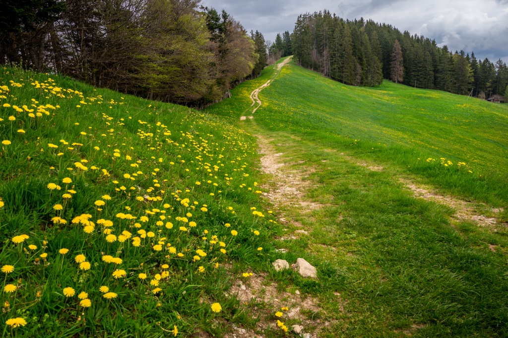 В Ивановской области назначен новый глава Департамента природных ресурсов