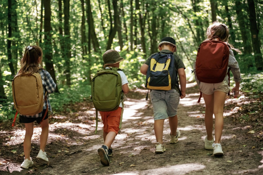 В Ульяновске проверяют пришкольные лагеря перед началом летних смен