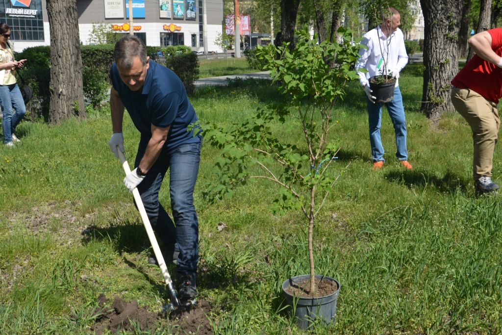 В Воронеже депутаты гордумы посадили в одном из скверов кусты сирени, ели и рябины В Воронеже депутаты гордумы посадили в одном из скверов кусты сирени, ели и рябины