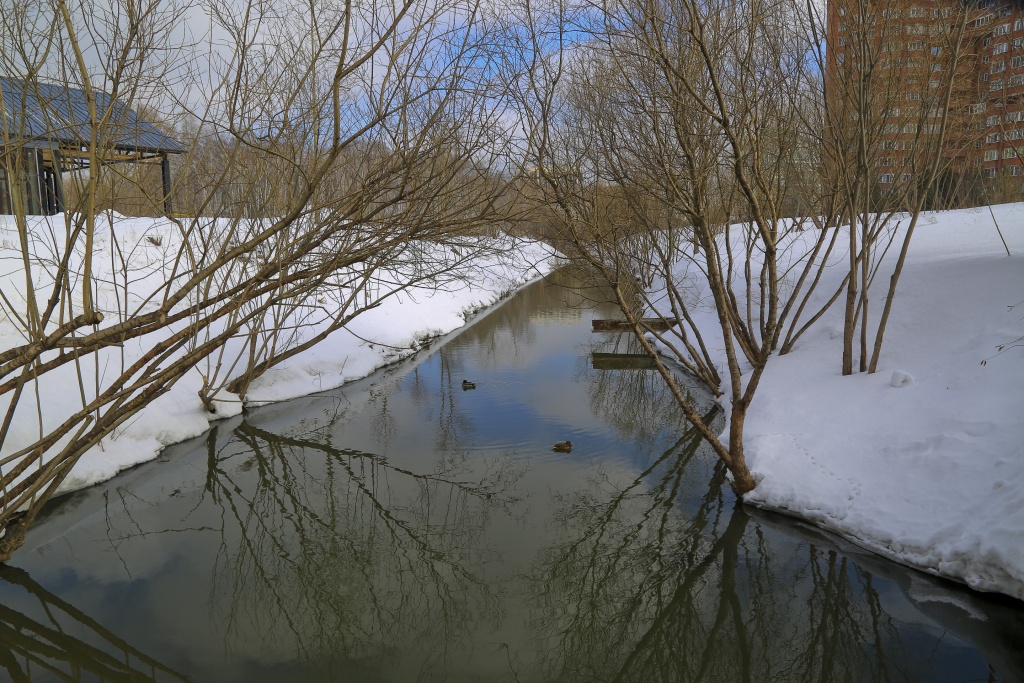 В Новосибирске парк «Каменка» откроют летом 2024 года