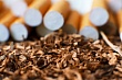 В Вологодской области у предпринимателя изъяли контрафактную табачную продукцию стоимостью свыше 1 миллиона рублей